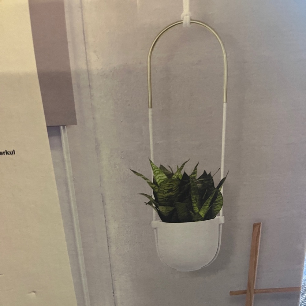 Bolo Hanging Planter